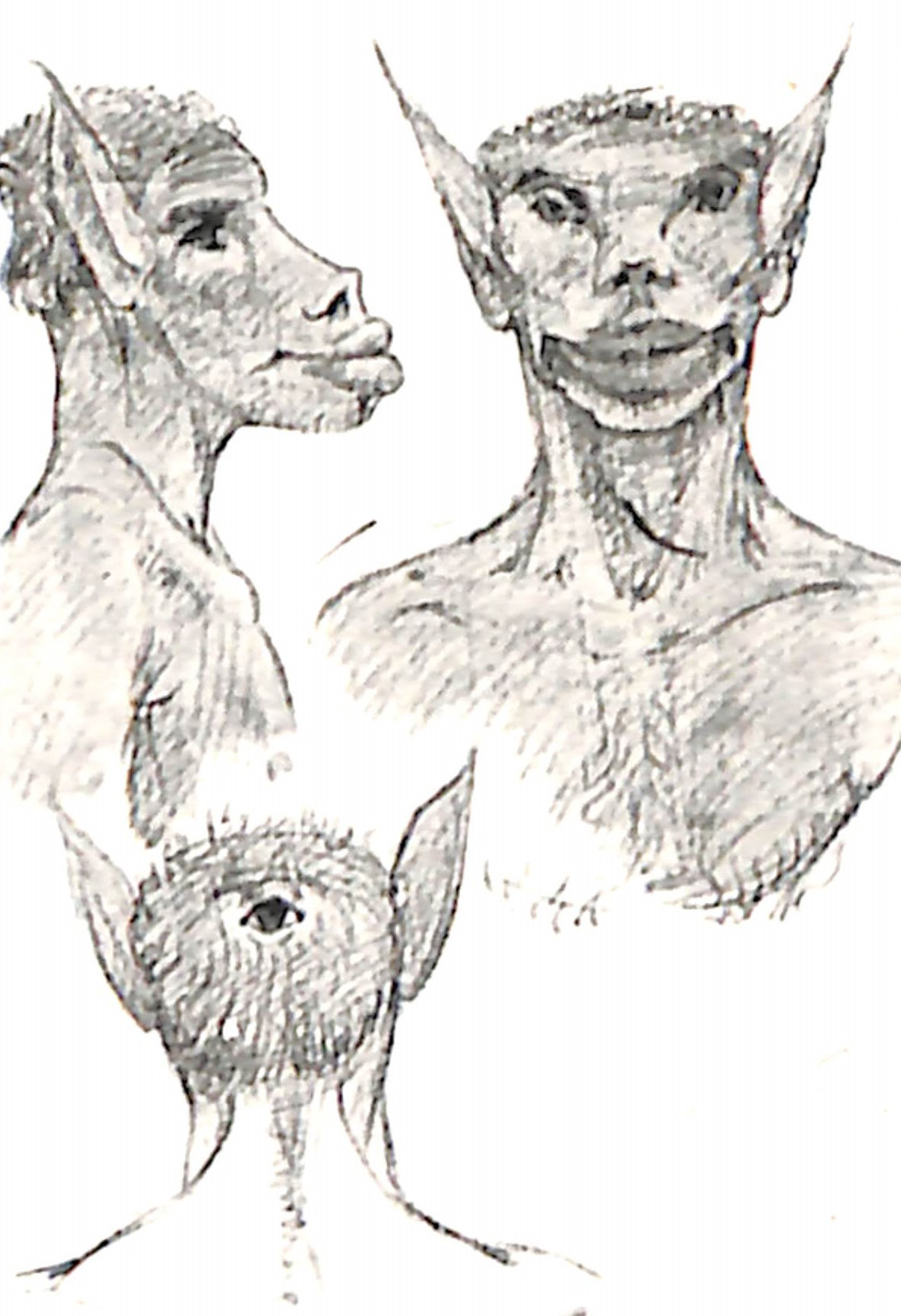 Lemurian Faces