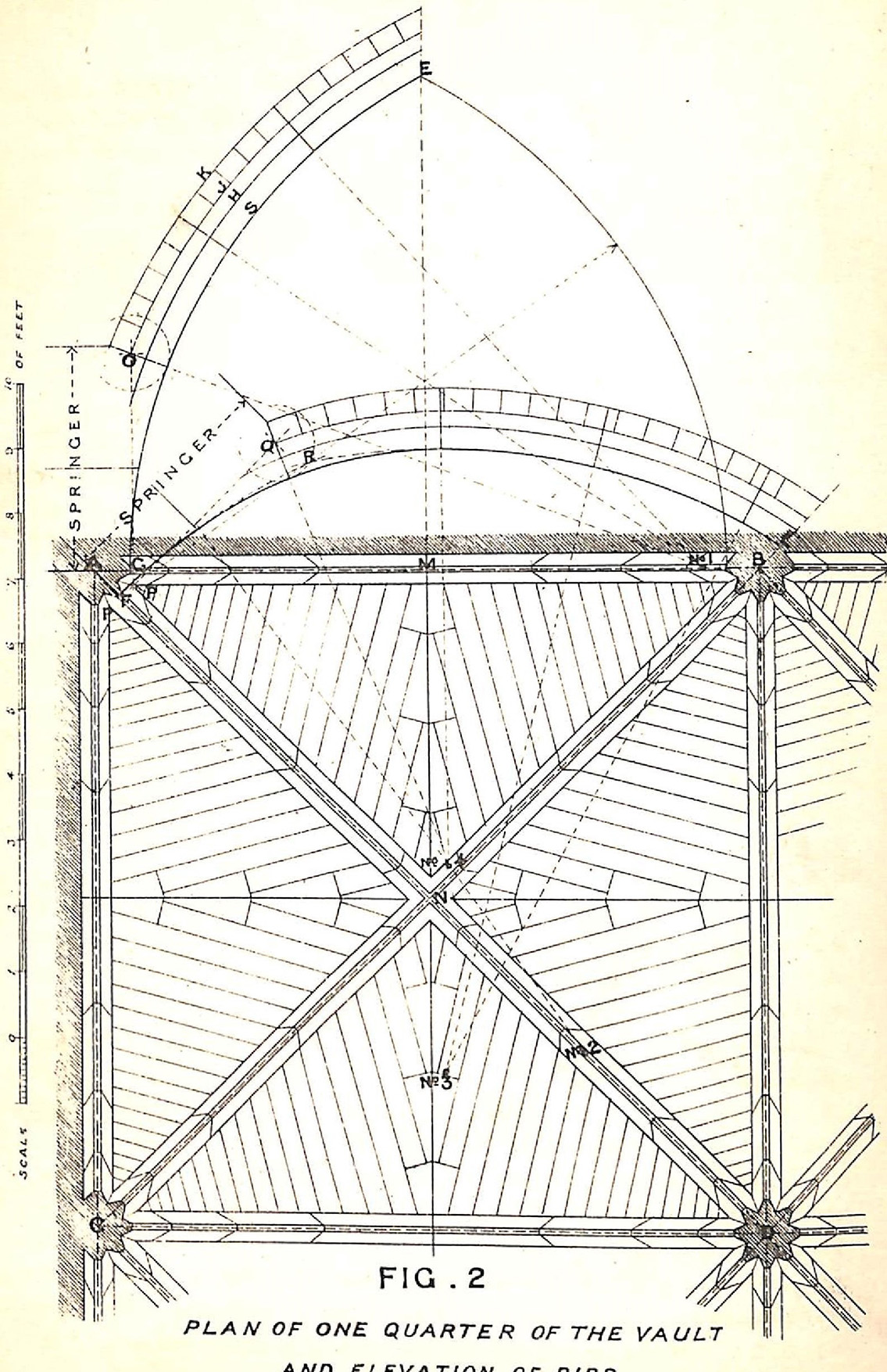 Groined Vaulting