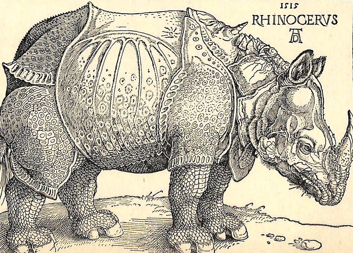 The Rhinoceros