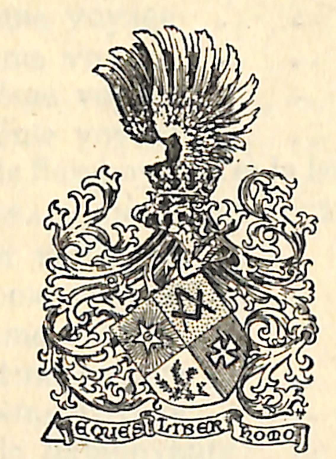 A Masonic Coat of Arms