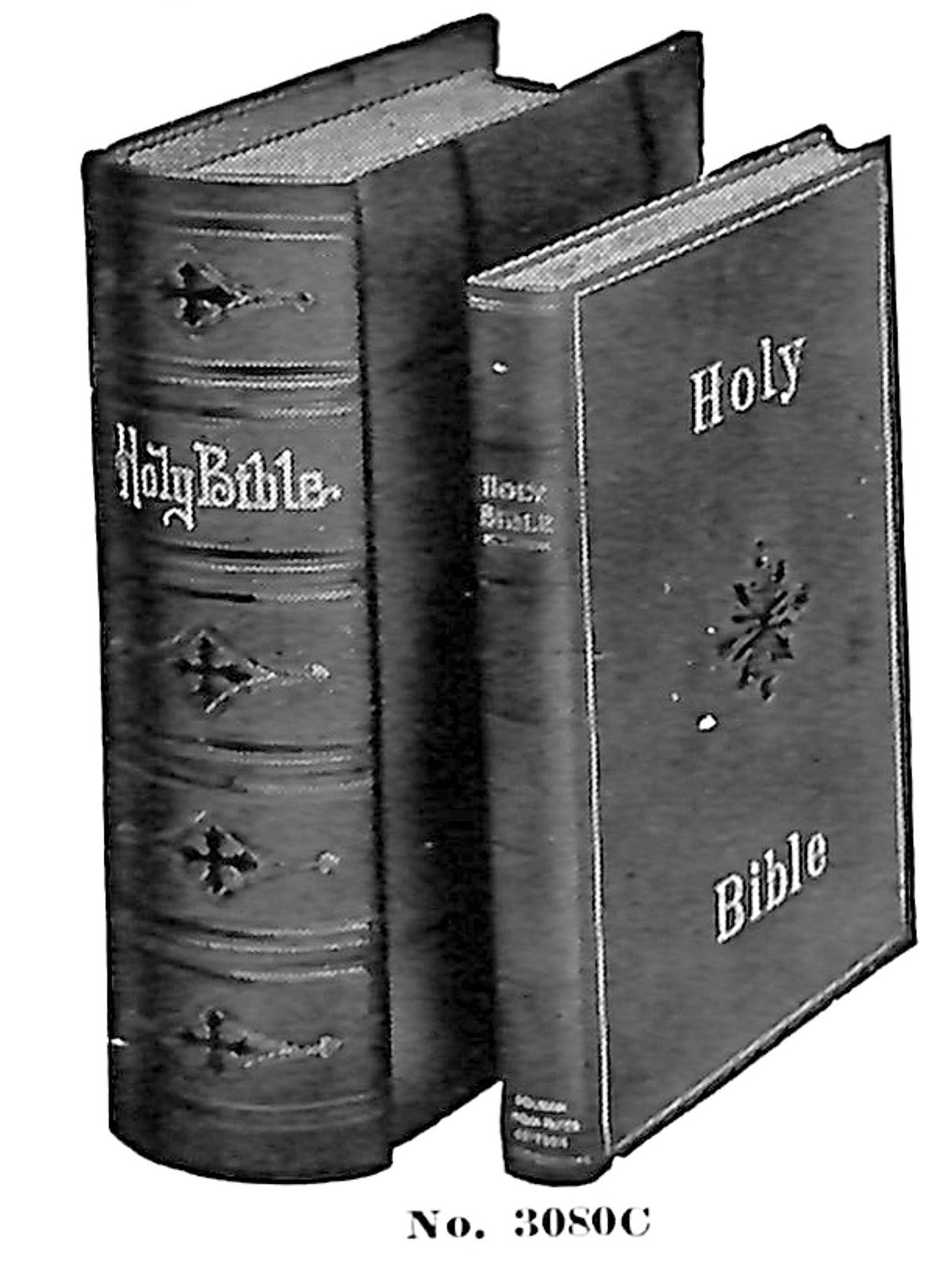 Bible no. 3080C
