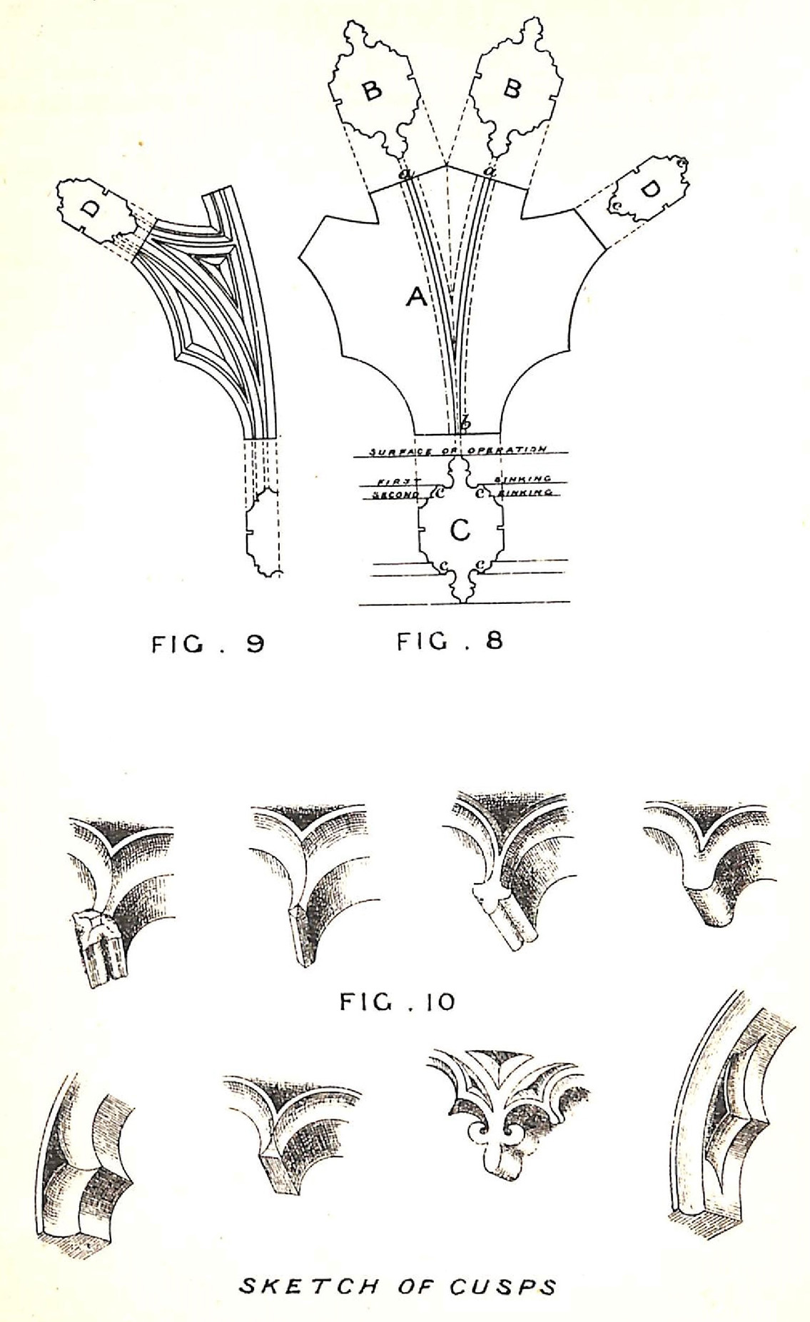 Sketch of Cusps