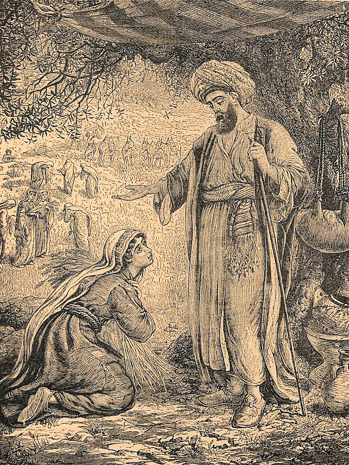 Boaz Showing Kindness To Ruth