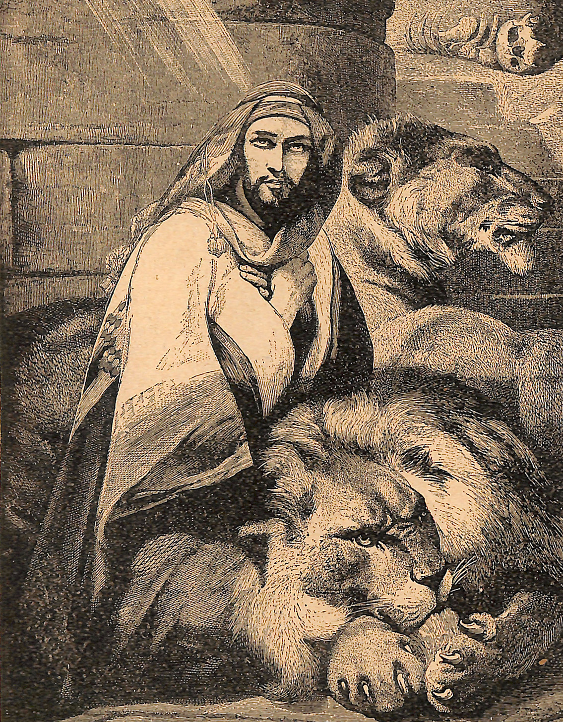 Daniel And The Lions