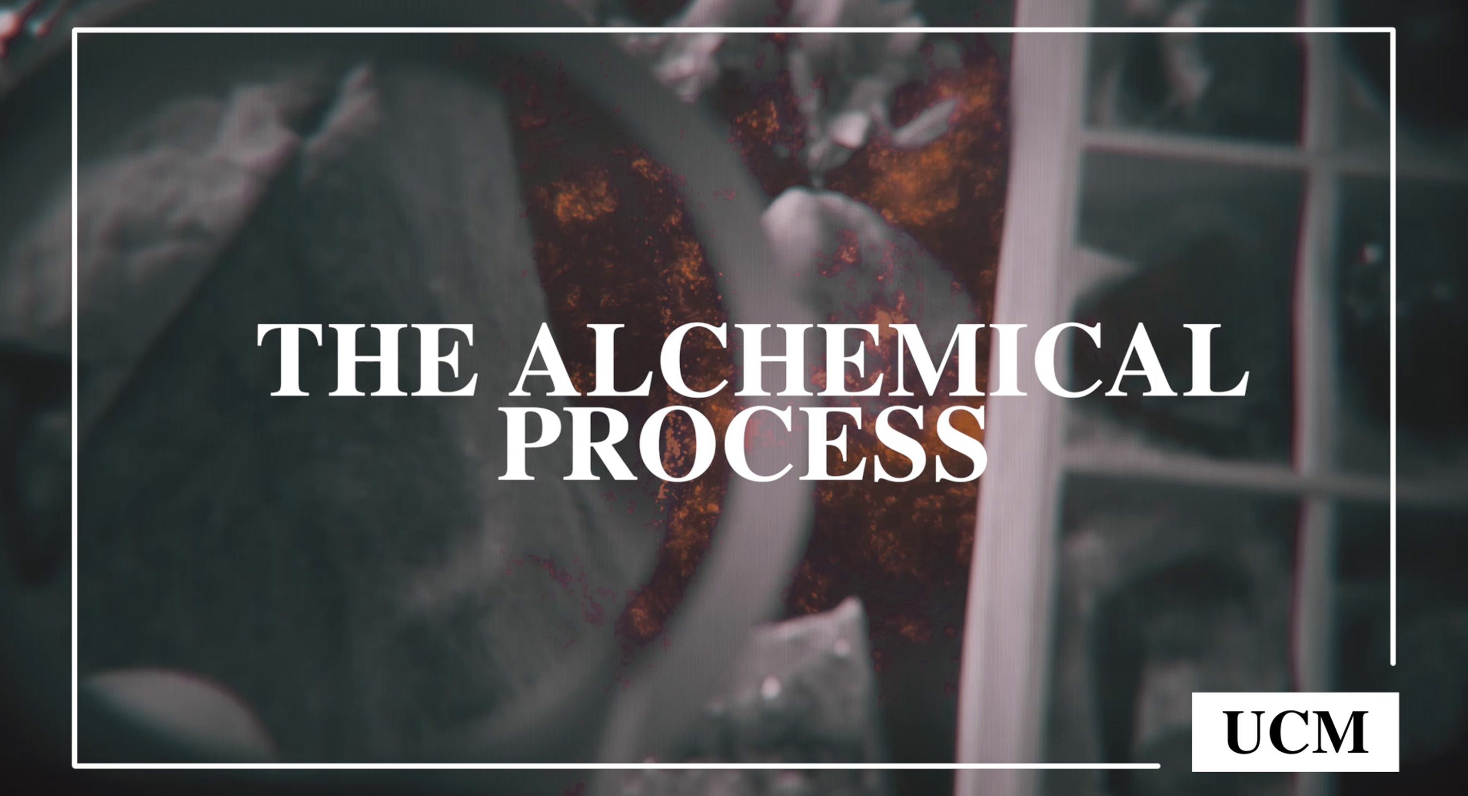 The Alchemical Process